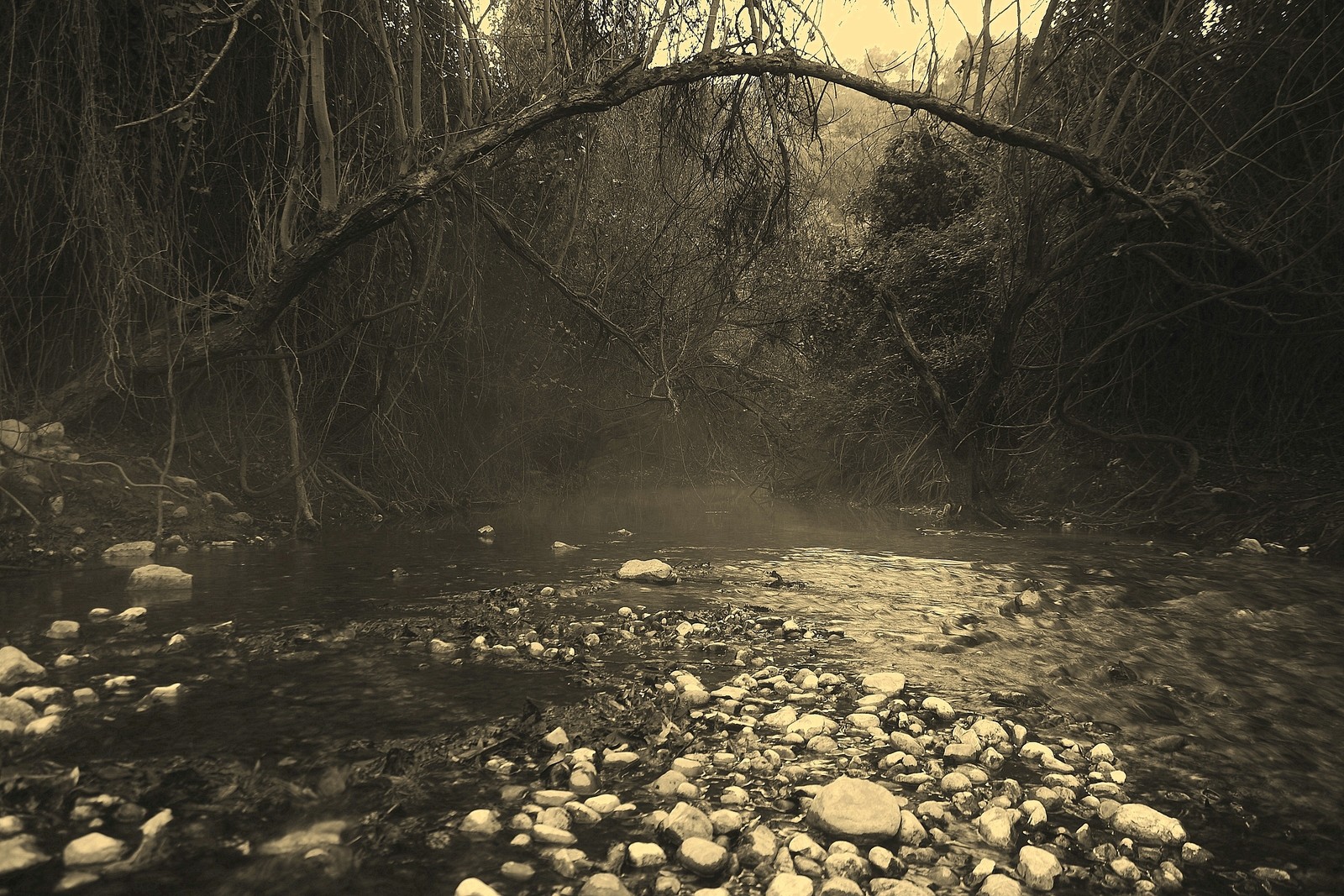 jose-diaz-marin-concursoabrilriosyysaltosdeagua