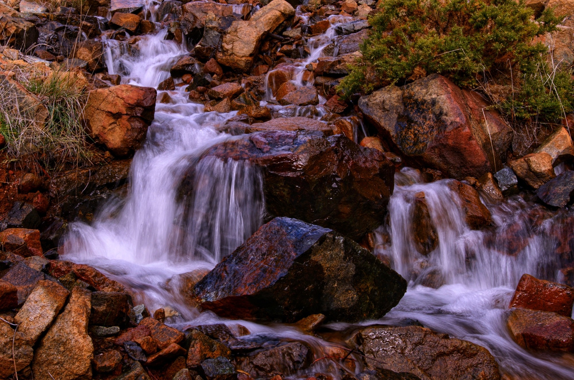 Jose Loez - José López mes abril saltos de agua concurso Facebook