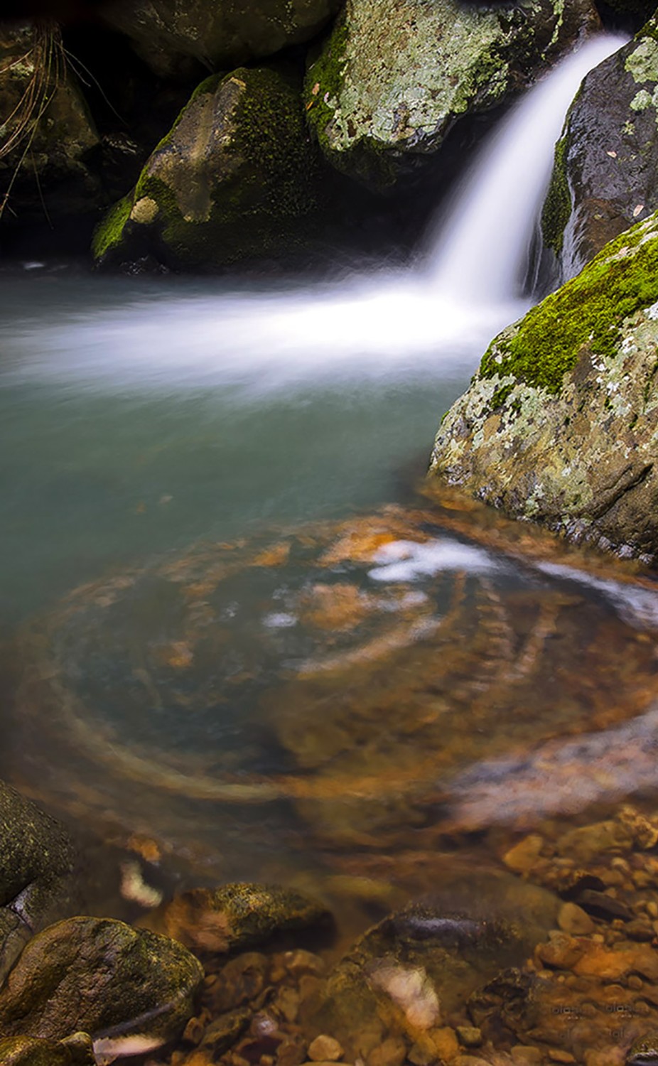 lolosuarez abril2020 b