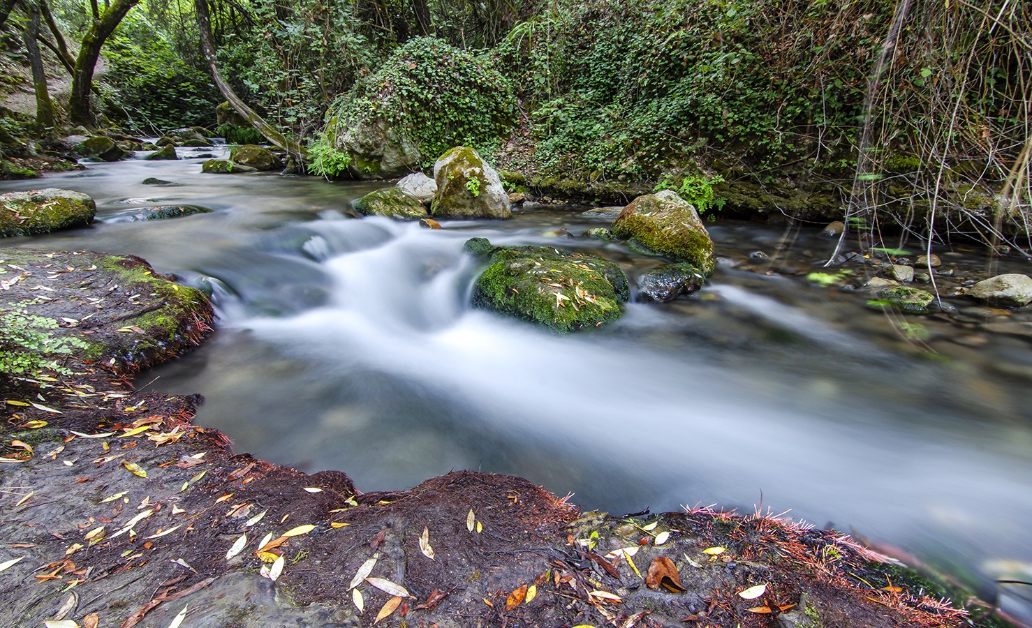 lolosuarez abril2020