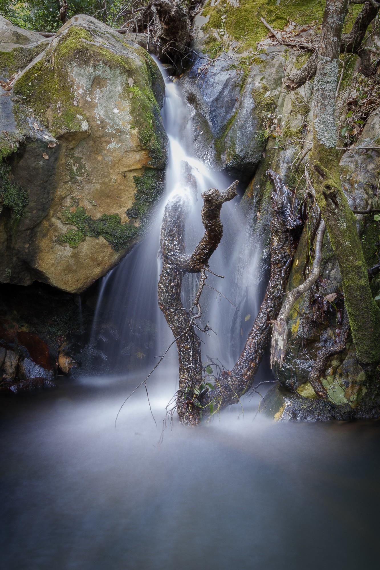 Manuel Ignacio Torres Lima - AguaAbrilManuelTorres-1