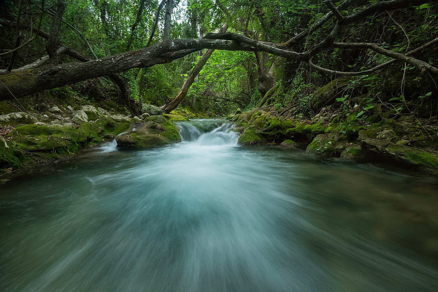 Manuel Pérez Ruiz - Manuel Perez_Rios-Saltos de agua1