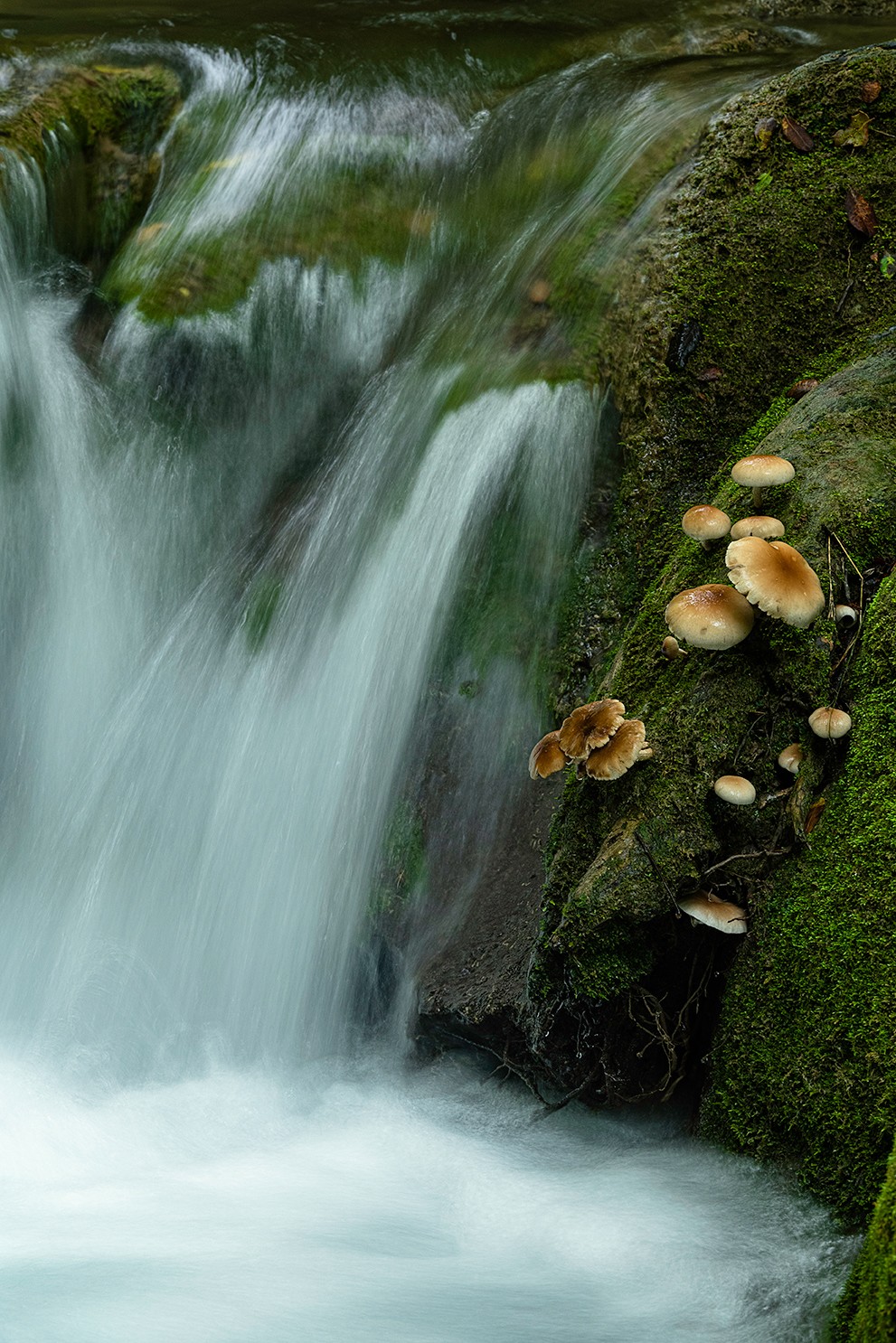 Manuel Pérez Ruiz - Manuel Pérez_Rios-saltos de agua2