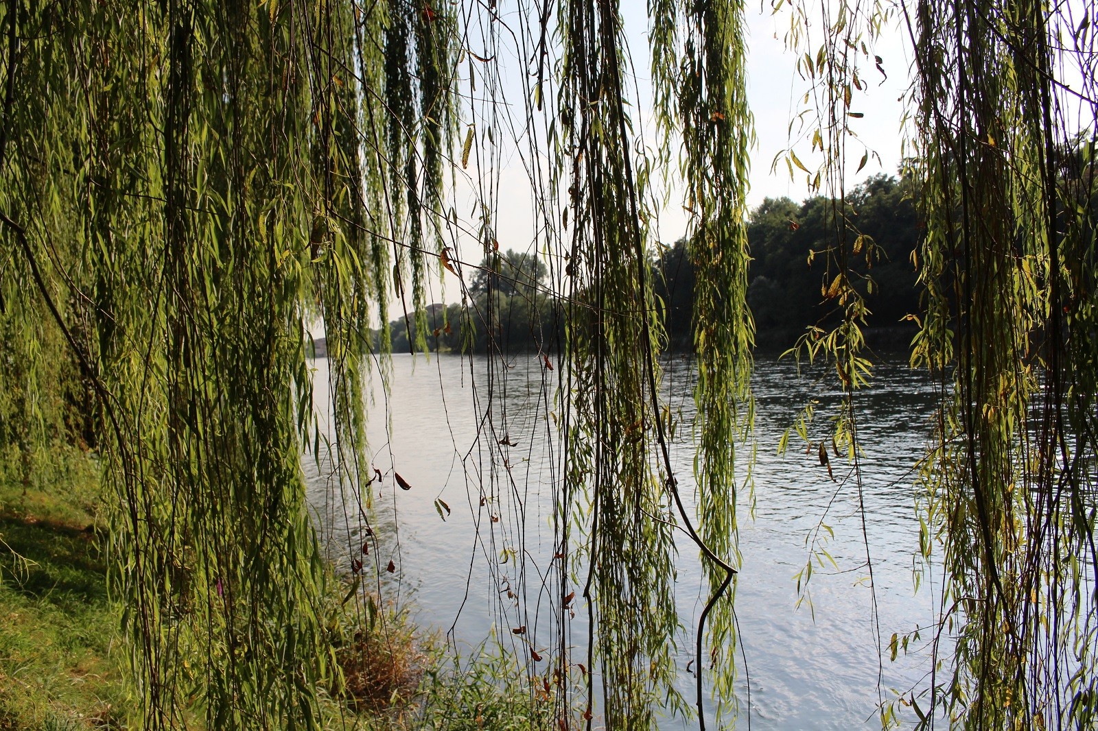 Mariano Maeztu - #Concurso_Abril_Ríos, Saltos de agua_Mariano_Maeztu_1