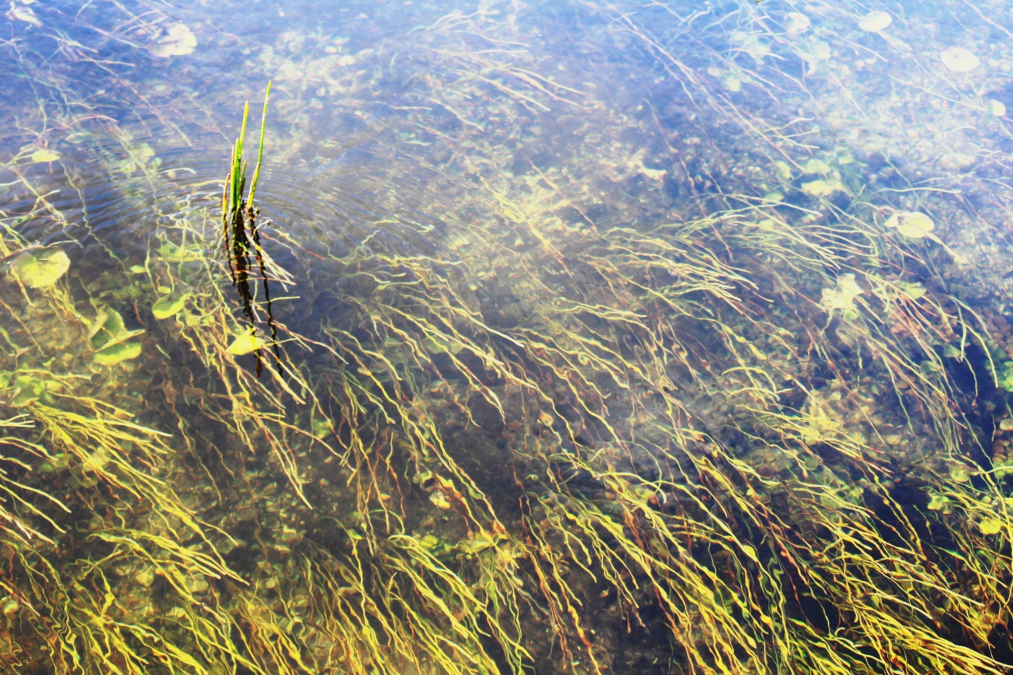 Mariano Maeztu - #Concurso_Abril_Ríos, Saltos de agua_Mariano_Maeztu_2