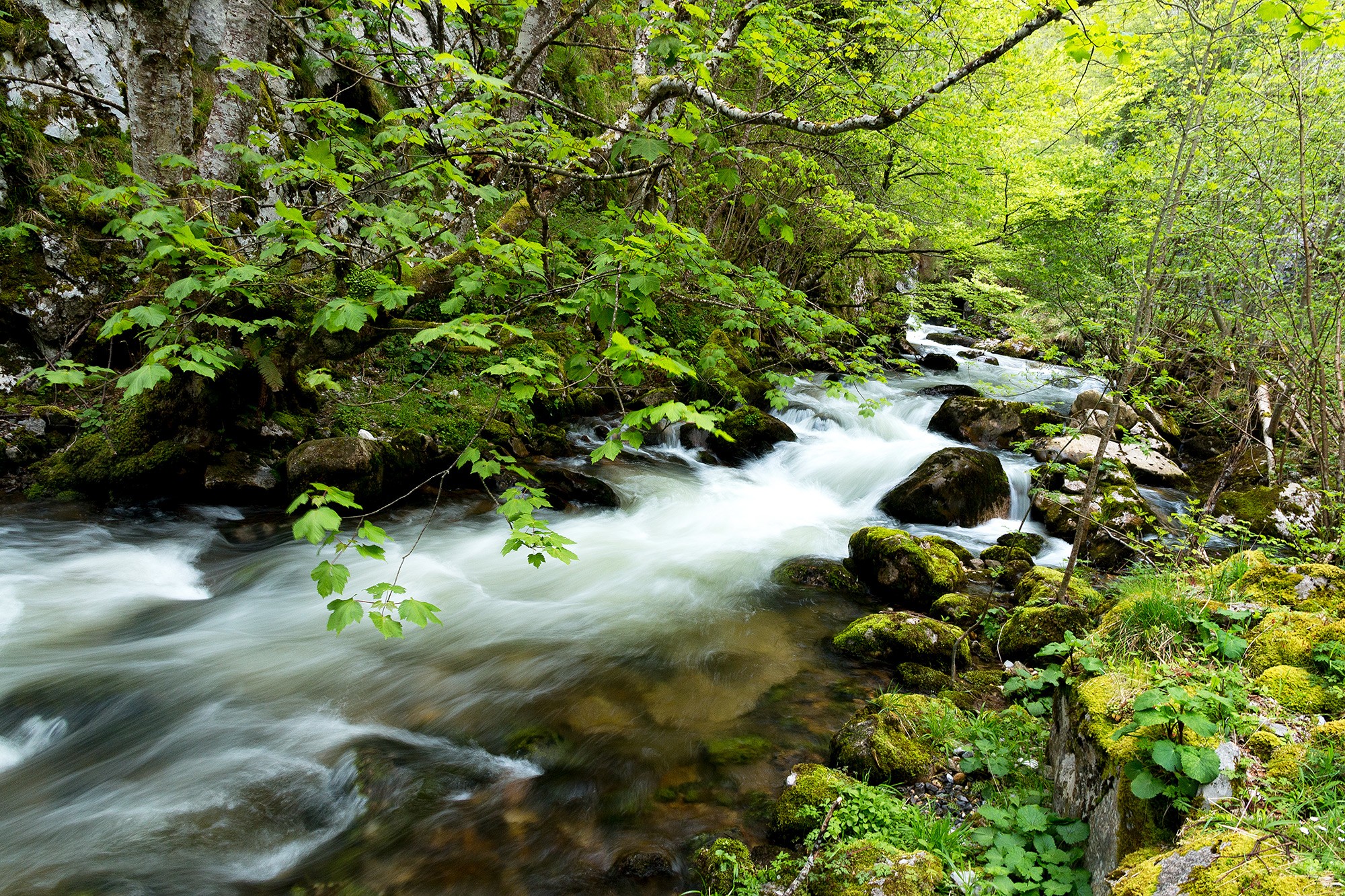 Mercedes Cuesta Mateo - MercedesCuesta_Abril_Rios_3