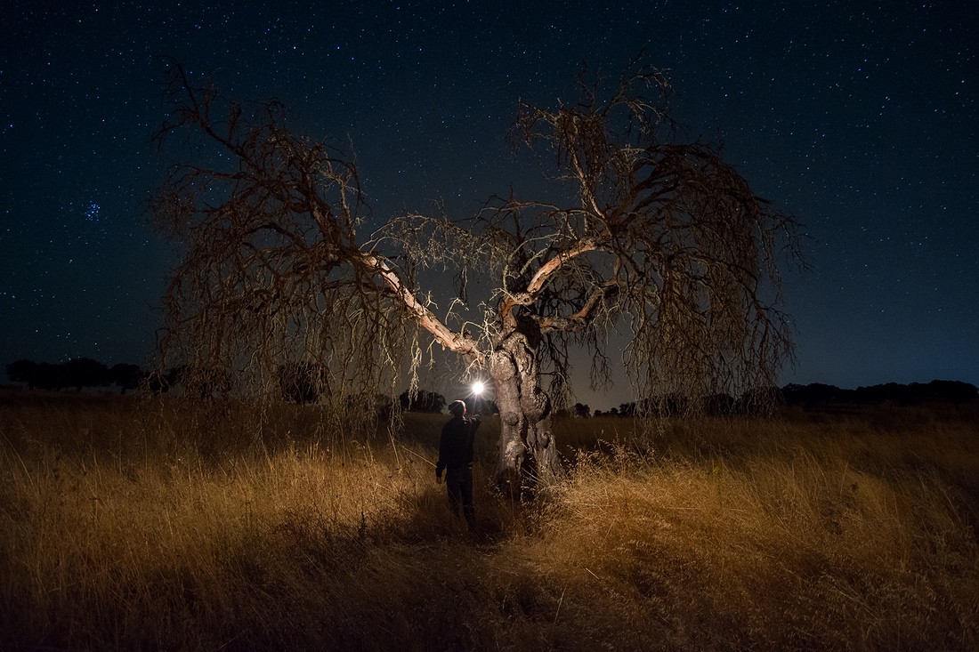 Jes&uacute;s Carmona Guill&eacute;n - jesuscarmonaguillen_concursoagostonocturnas. extremadura