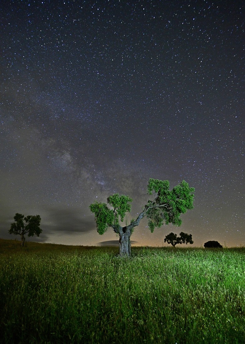 jose  diaz marin - 073