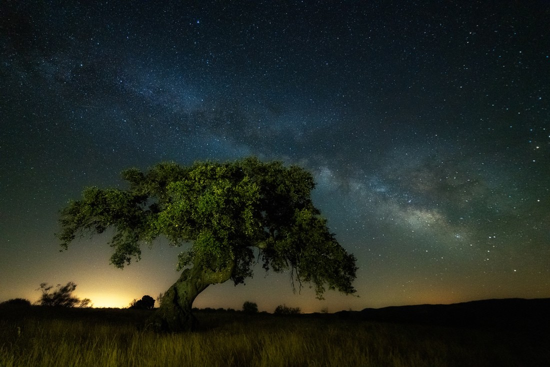 Pedro Mozos - PedroMozos_ConcursoNocturnas_1