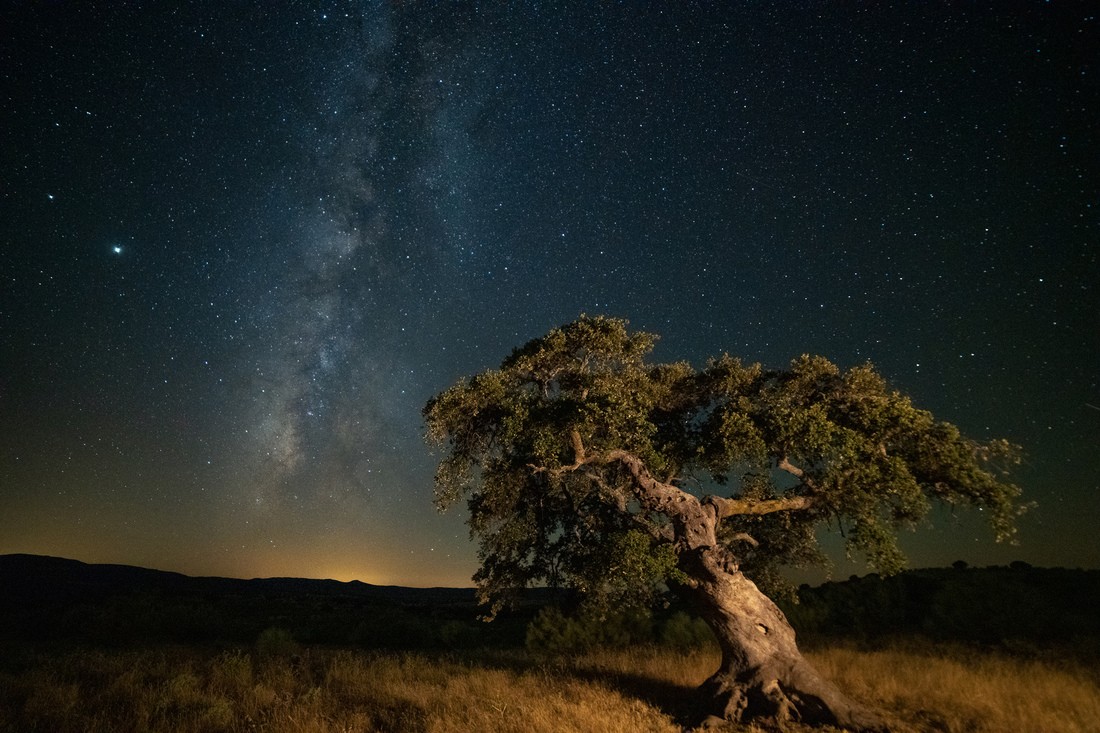 Pedro Mozos - PedroMozos_ConcursoNocturnas_2