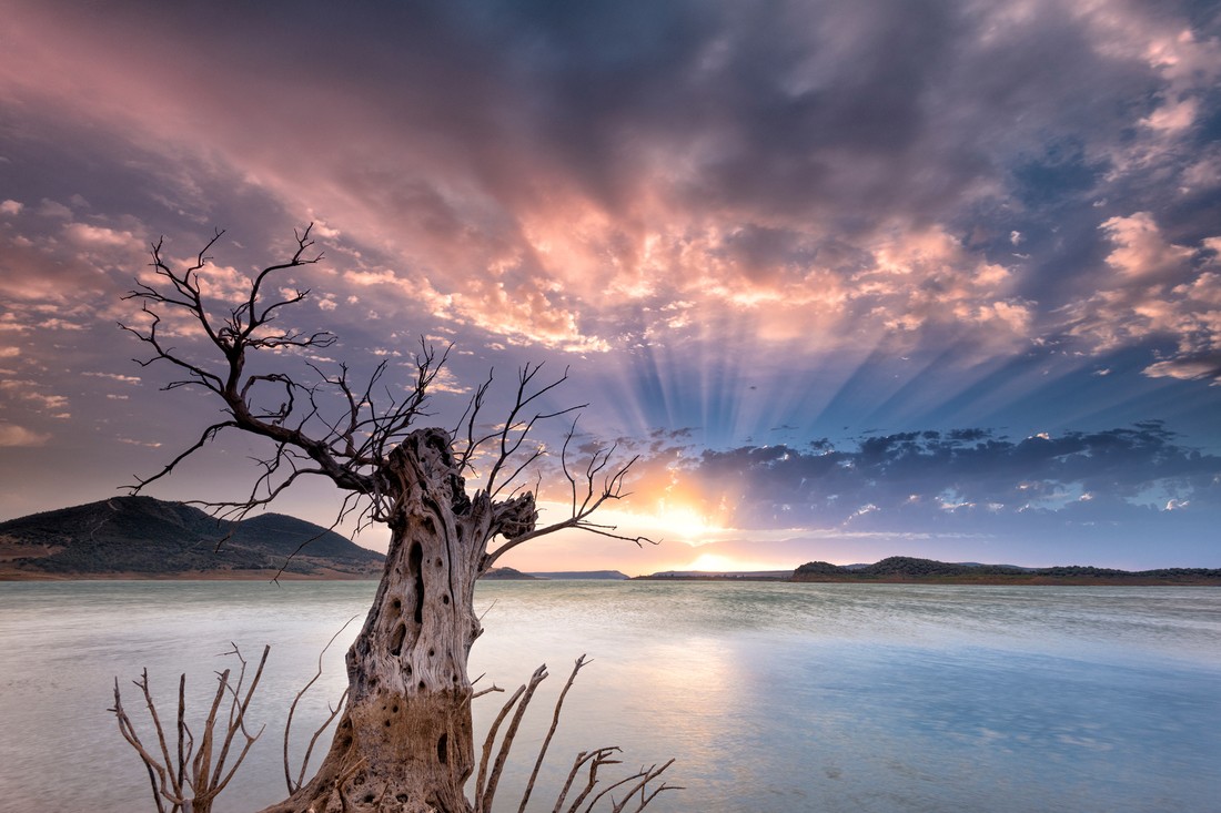 Pedro Mozos - PedroMozos_ConcursoNocturnas