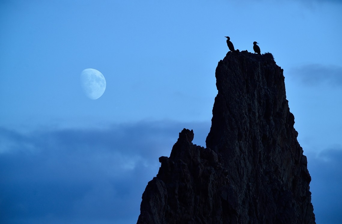 David moya - David_moya_Concurso_Septiembre_A_contraluz