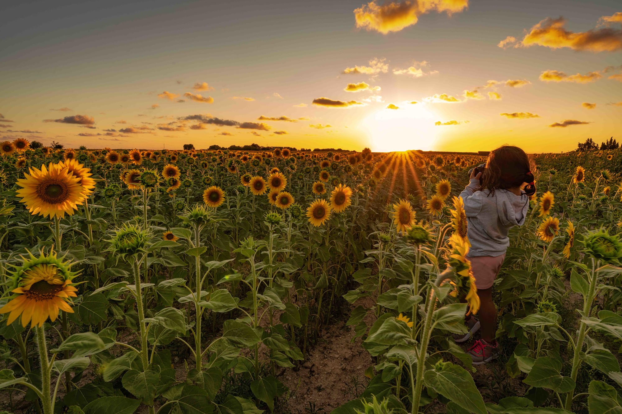 Jesus joaquin Carrera martinez - Jesus Carrera_Contraluz_3