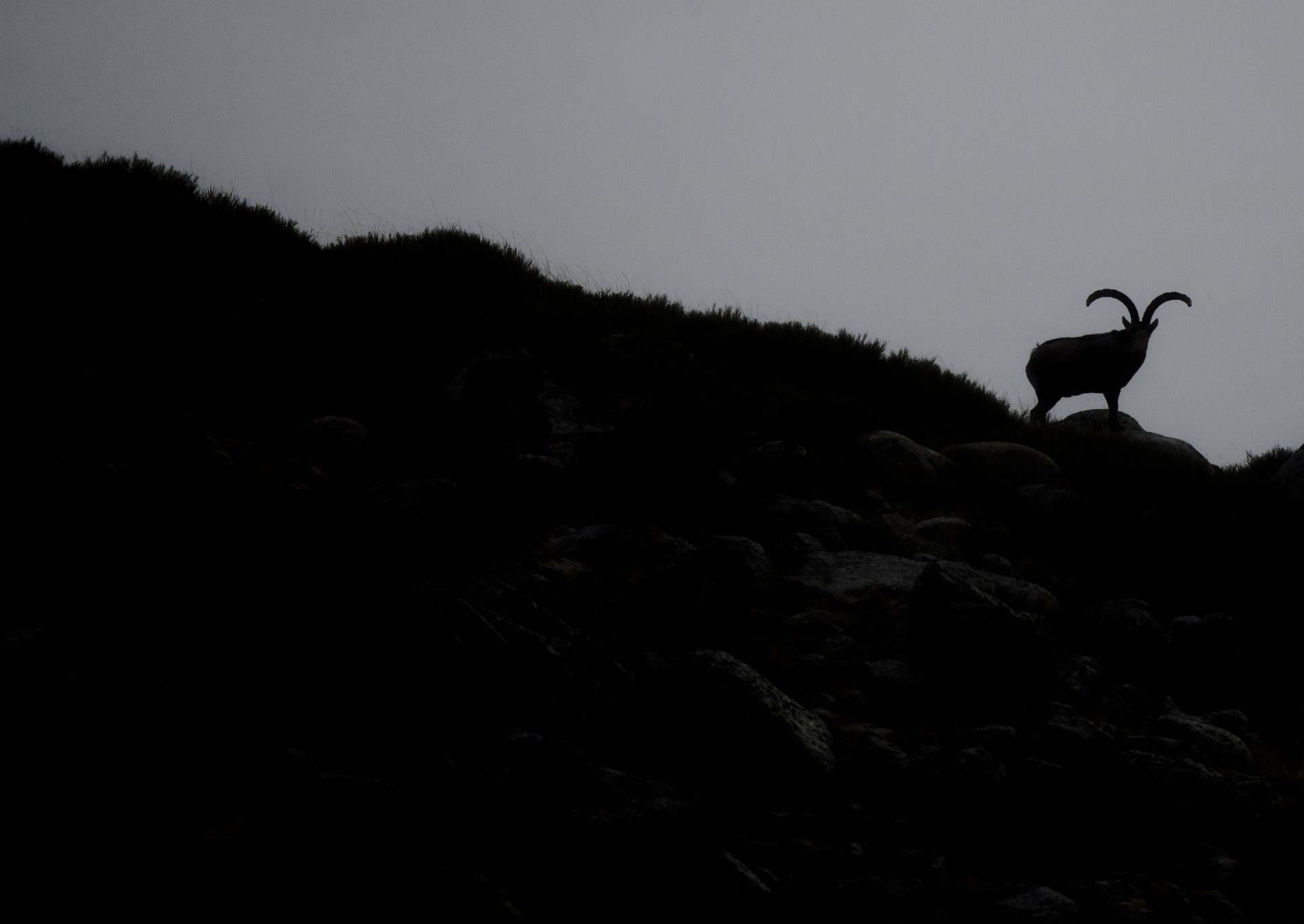 José Soria Luna - PepeSoria-Septiembre2020-Contraluz 1