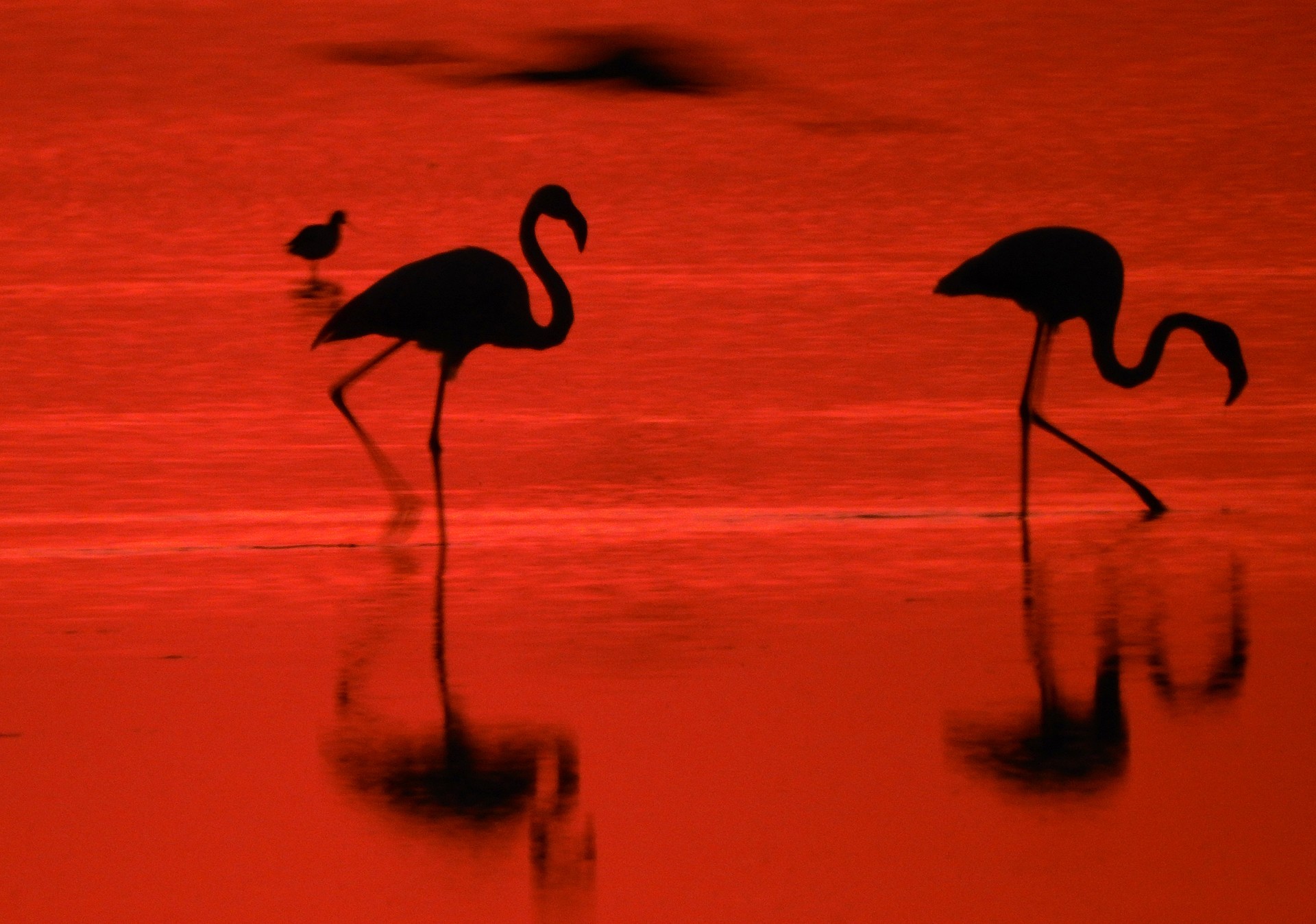 José Soria Luna - PepeSoria-Septiembre2020-Contraluz 3