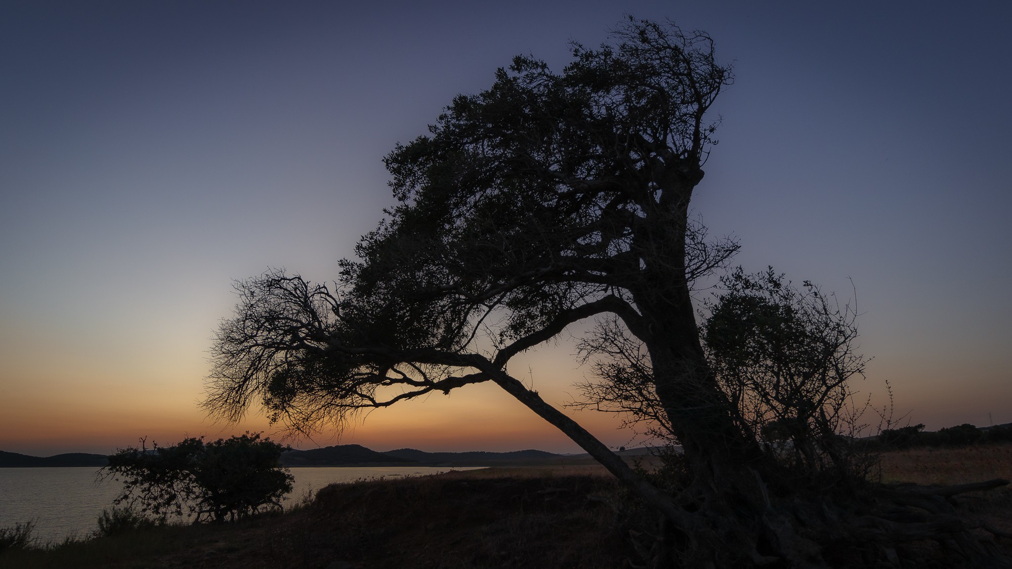 Manuel Ignacio Torres Lima - AContraluzSeptiembreManuelTorres_02
