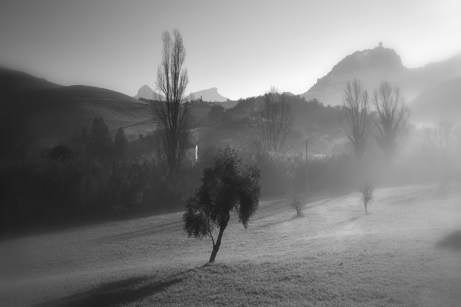 jose diaz marin - concursooctubreblancoynegro (2)
