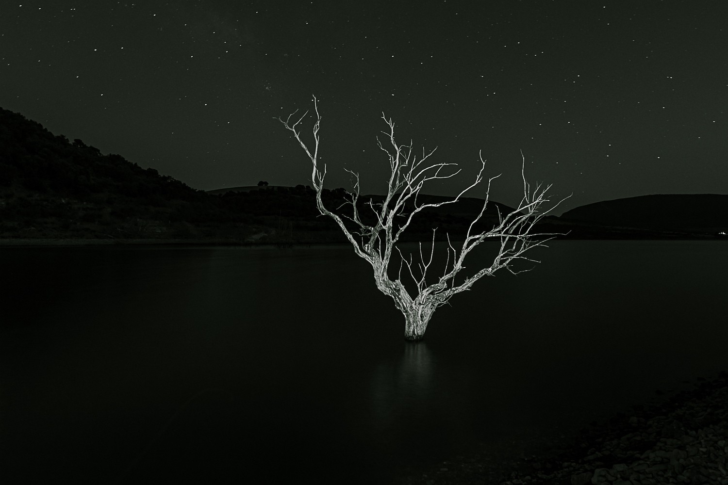 manuel sanchez dorado - _MSD5745