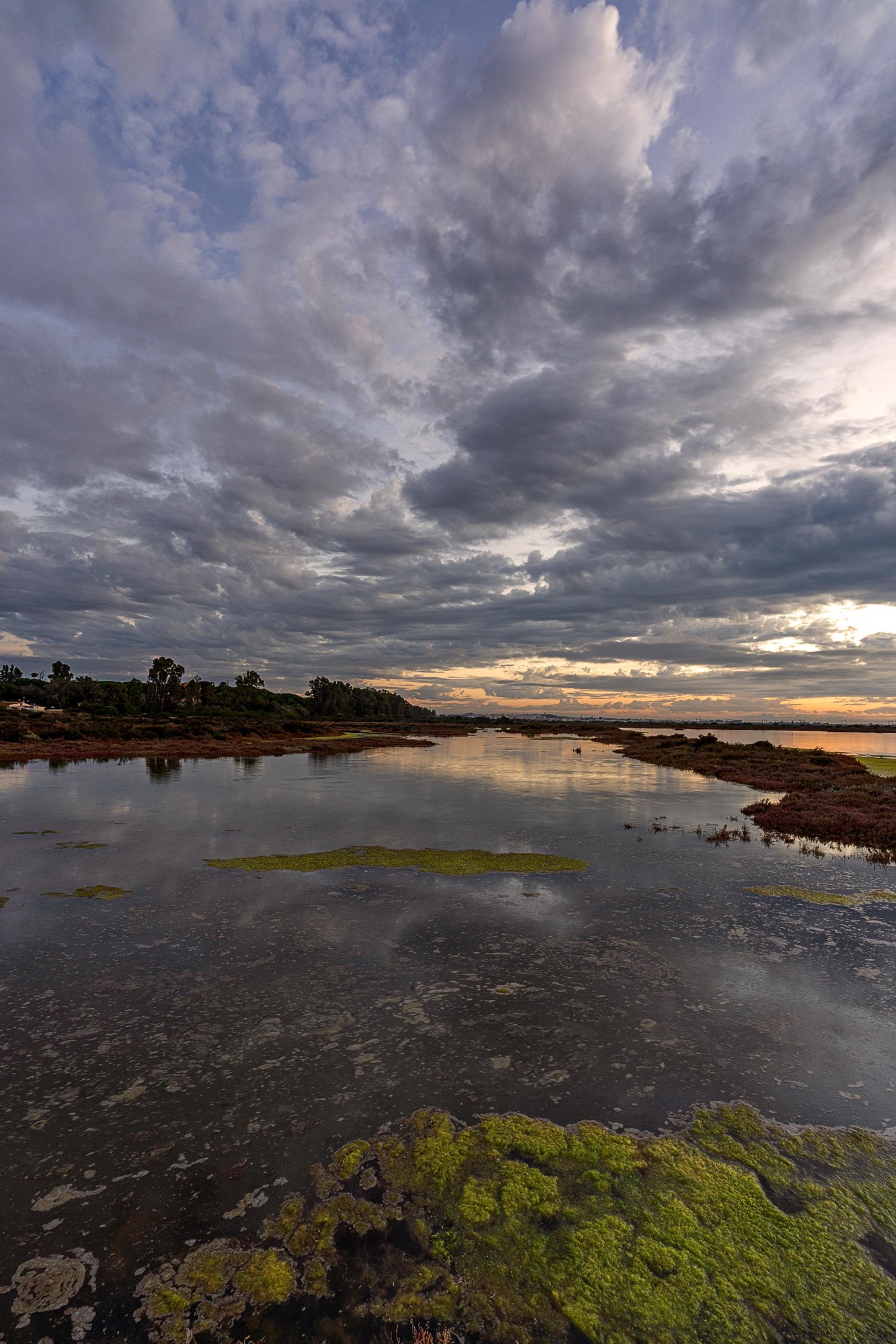 Jesus joaquin Carrera martinez - Jesus Carrera_PN Bah&iacute;a de C&aacute;diz-0001-2