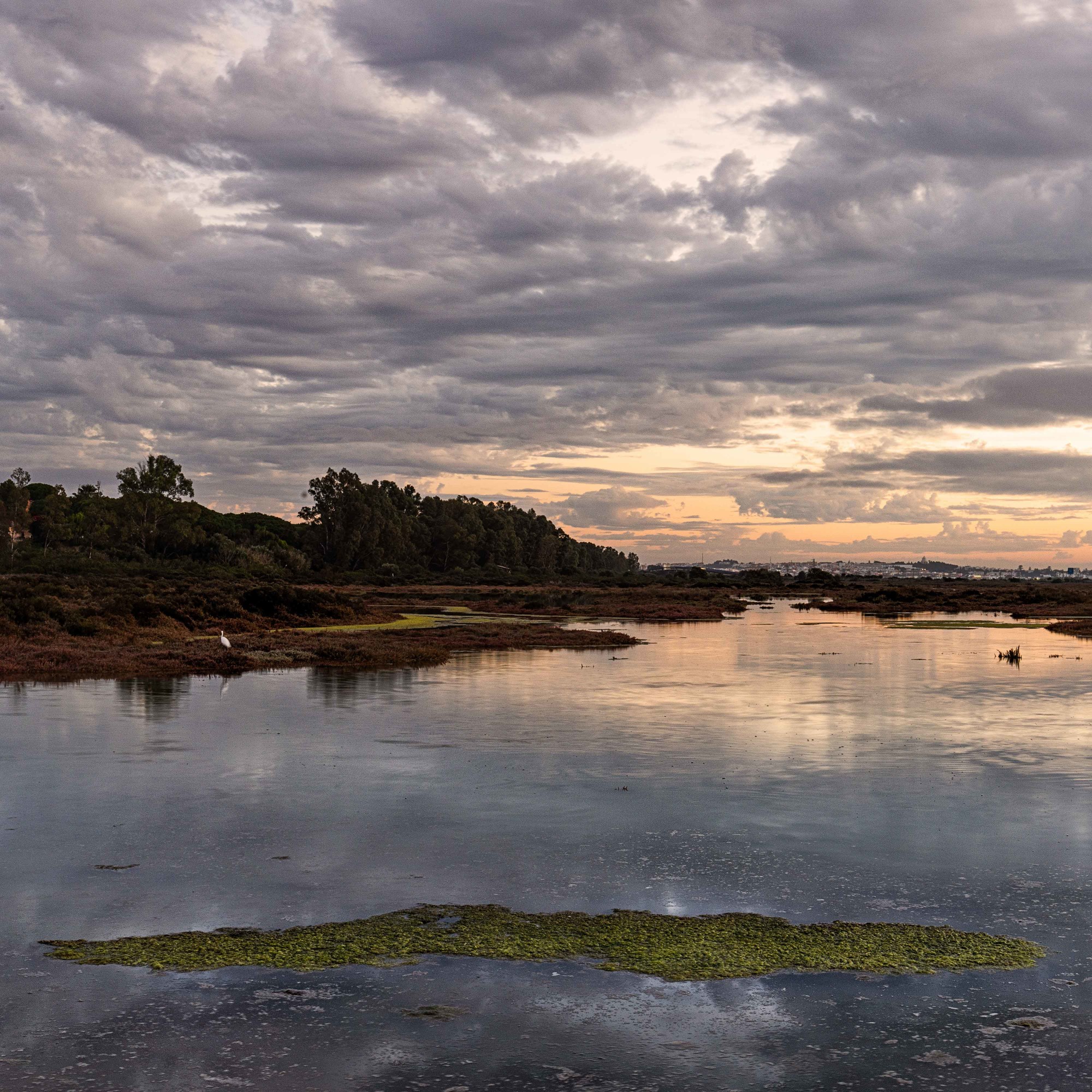 Jesus joaquin Carrera martinez - Jesus Carrera_PN Bah&iacute;a de C&aacute;diz-0001-3