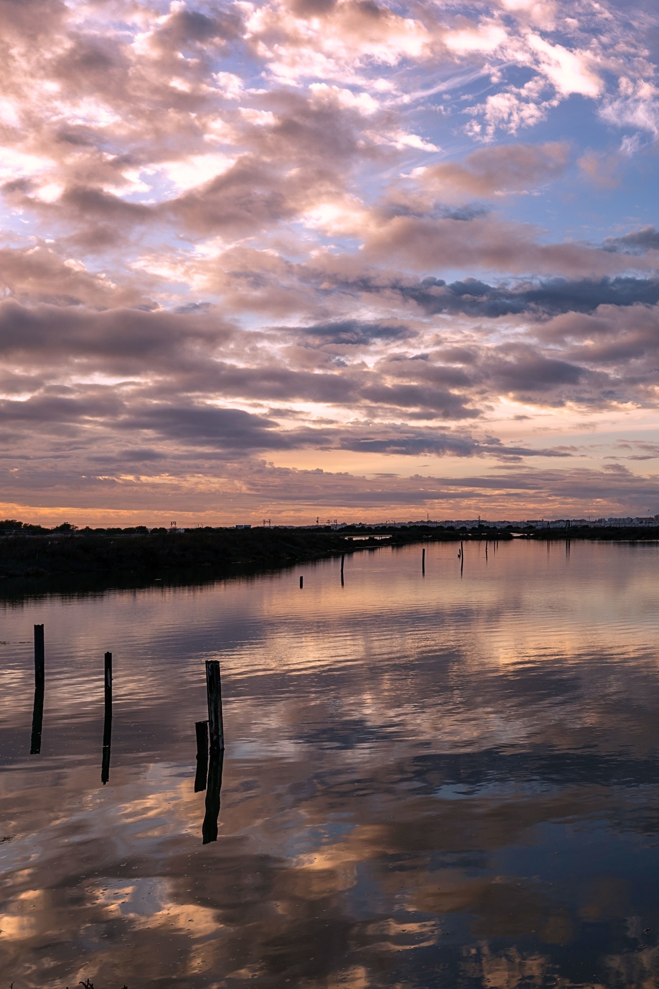Jesus joaquin Carrera martinez - Jesus Carrera_PN Bah&iacute;a de C&aacute;diz-0001