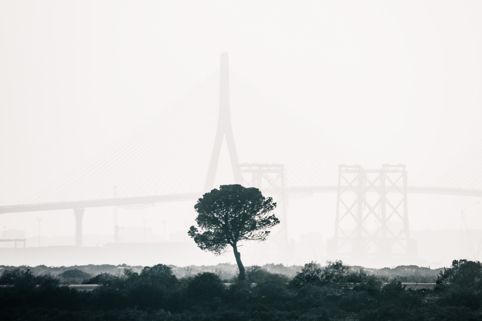 Juanma Fernandez-Pujol - JuanmaFernandezPujol_ConcursoEneroPaisajeCosta_Toru&ntilde;os