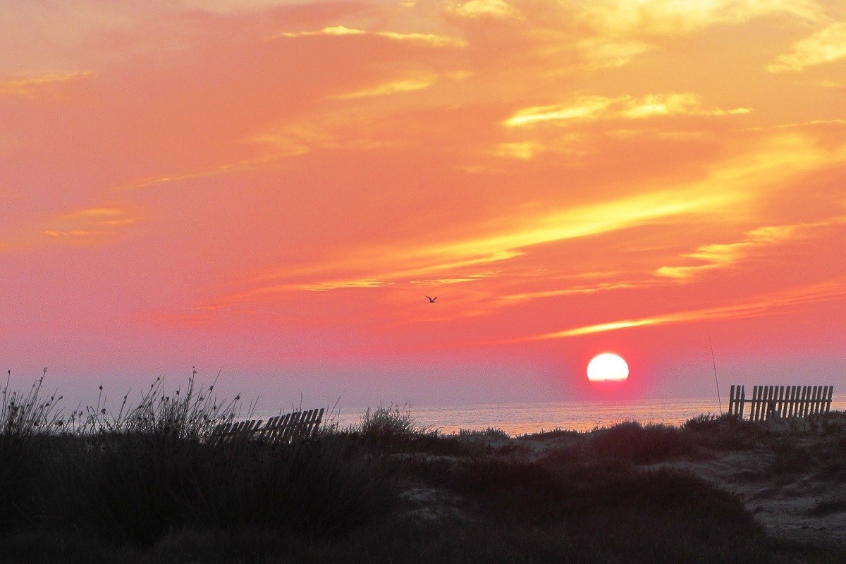 Mariano Maeztu - #Concurso_enero_PNBah&iacute;aC&aacute;diz_Mariano_Maeztu_1