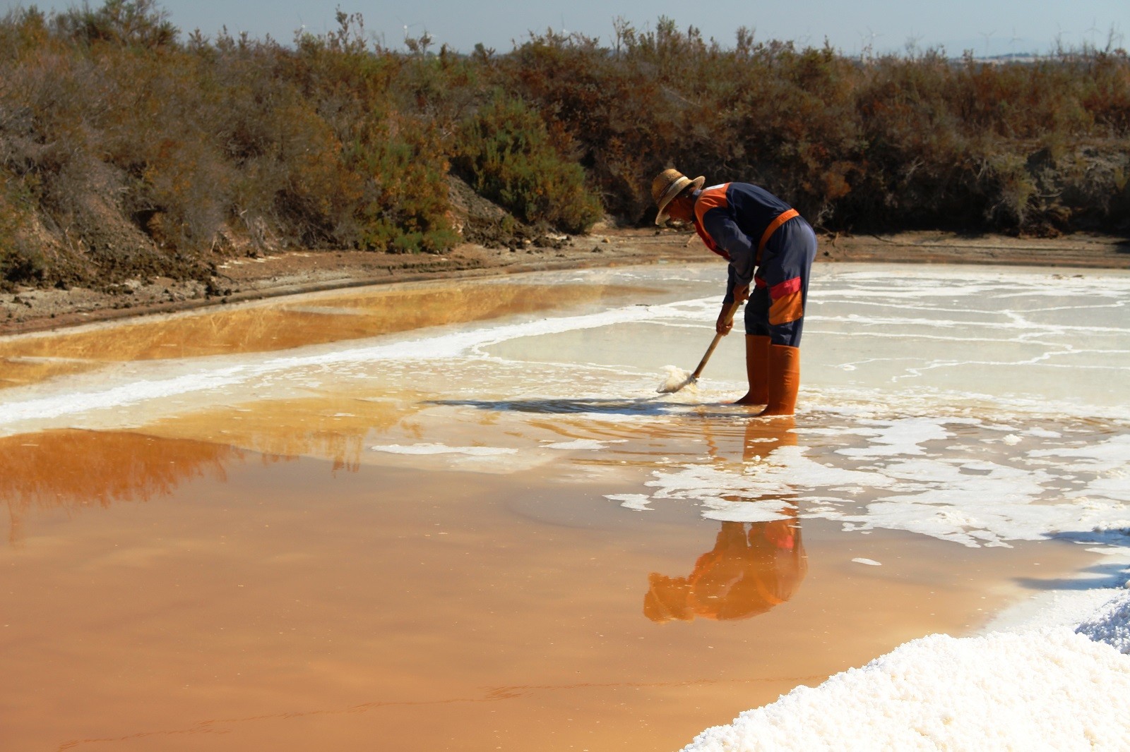 Mariano Maeztu - #Concurso_enero_PNBah&iacute;aC&aacute;diz_Mariano_Maeztu_2