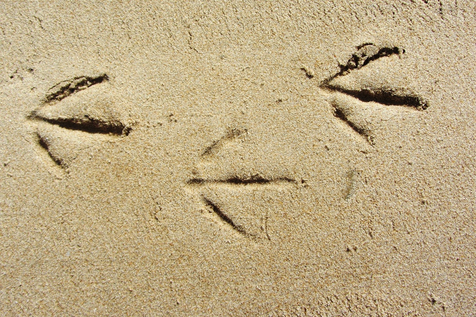 Mariano Maeztu - #Concurso_enero_PNBah&iacute;aC&aacute;diz_Mariano_Maeztu_3