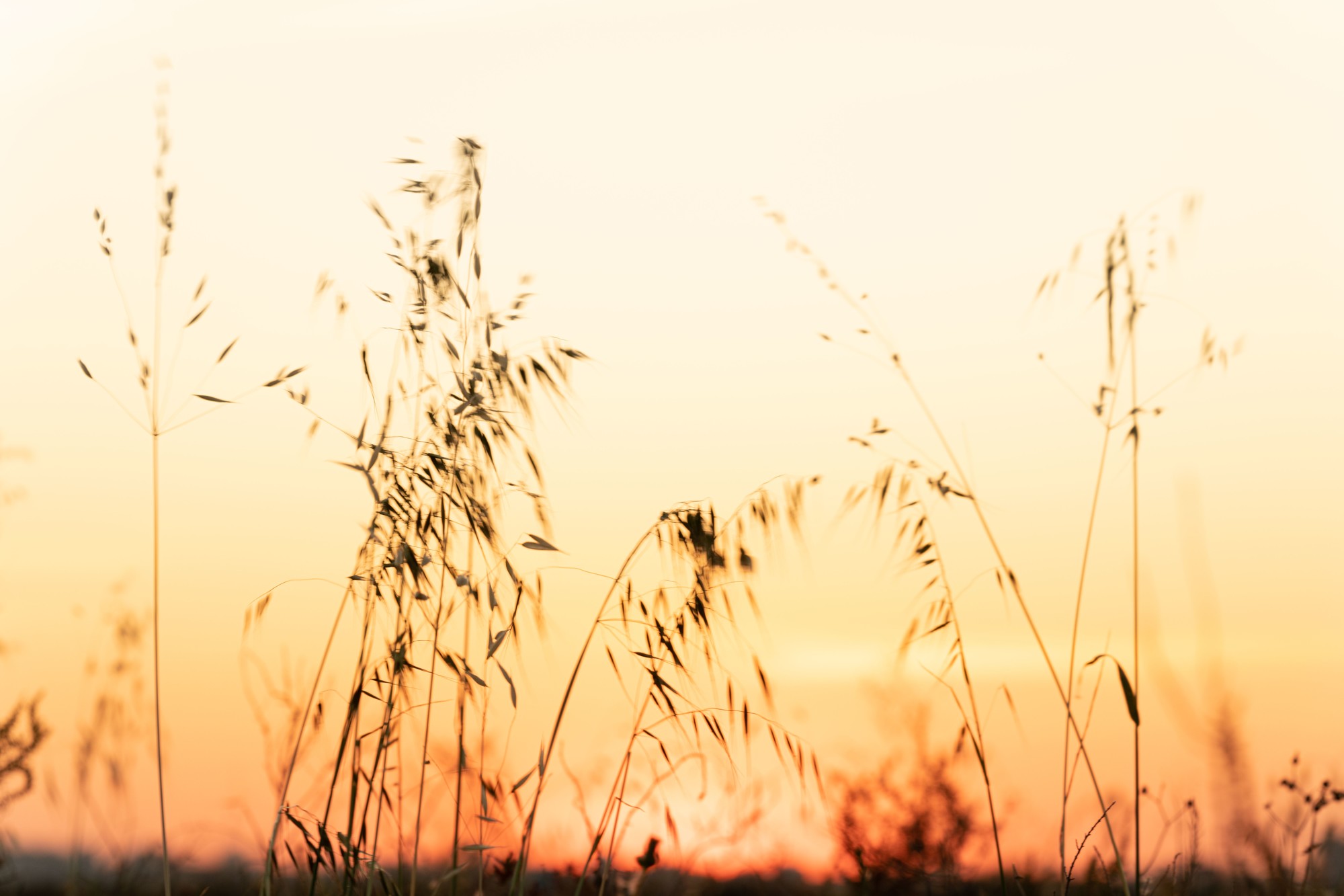Paloma de Iriarte Tinoco - Paloma de Iriarte_PN Bah&iacute;a C&aacute;diz