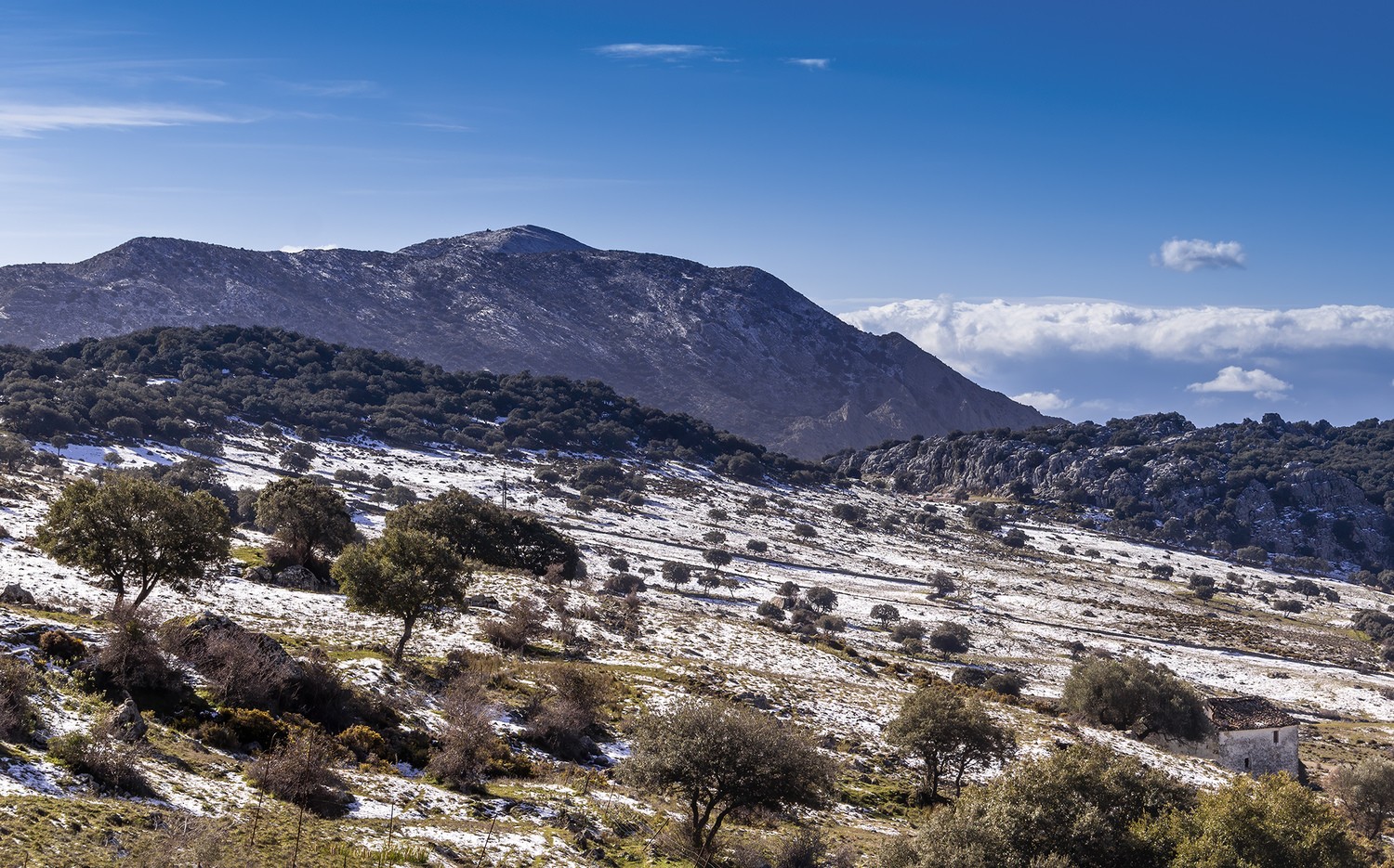 Antonio Ben&iacute;tez Paz - AntBen&iacute;tezPaz_VillaluengadelRosario_PNSdeGrazalema