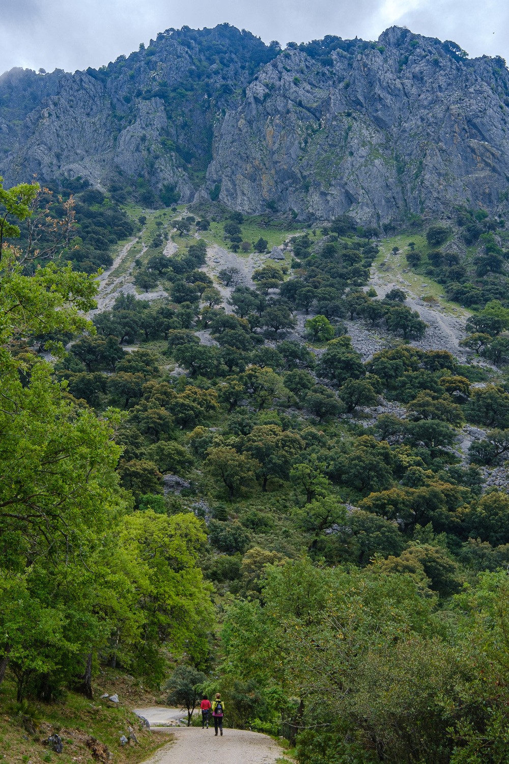 Javier Gazzo Rivas - JavierGazzo_ConcursoMarzoGrazalema-3