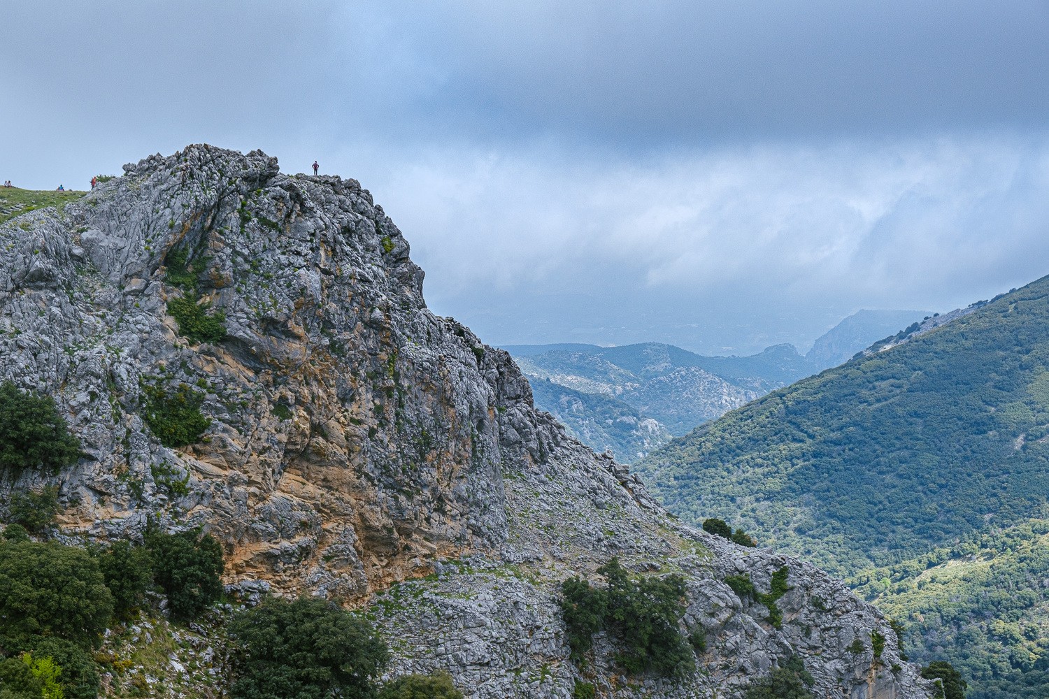 Javier Gazzo Rivas - JavierGazzo_ConcursoMarzoGrazalema