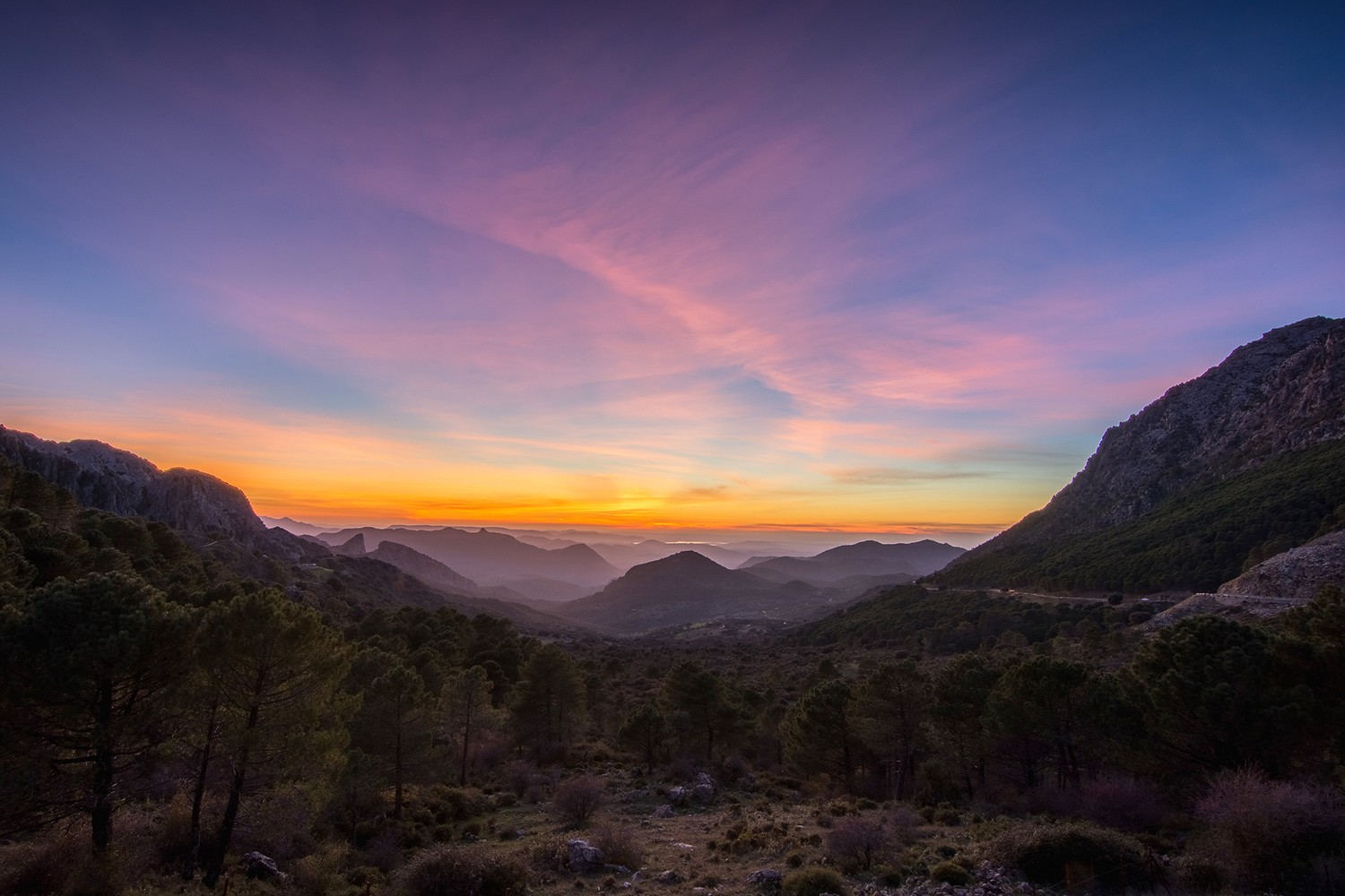 Jes&uacute;s Carmona Guill&eacute;n - Jesus Carmona Guillen_concursoMarzo. PNSierra de grazalema