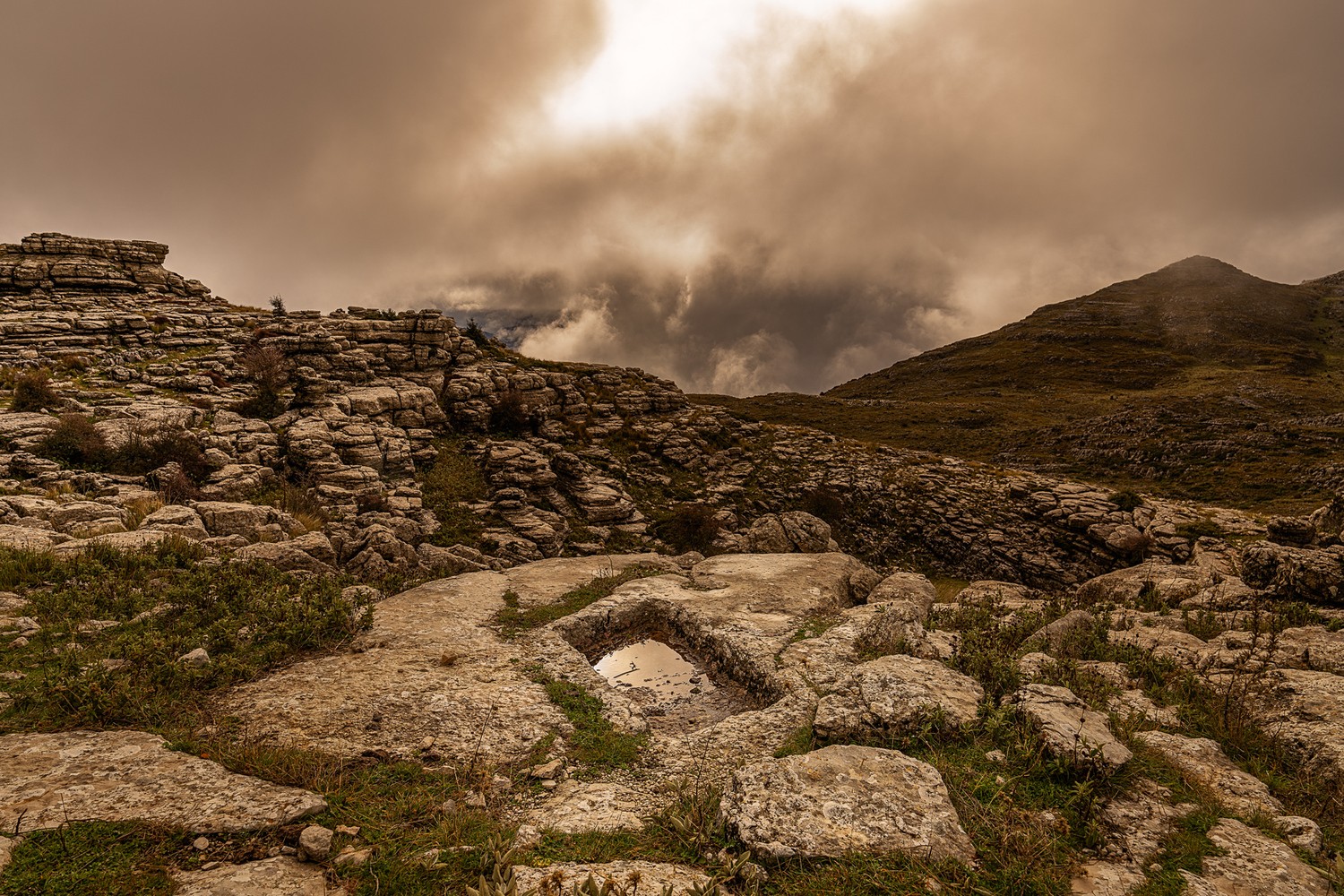 Jesus joaquin Carrera martinez - Jesuscarrera_paisajesdemonta&ntilde;a1
