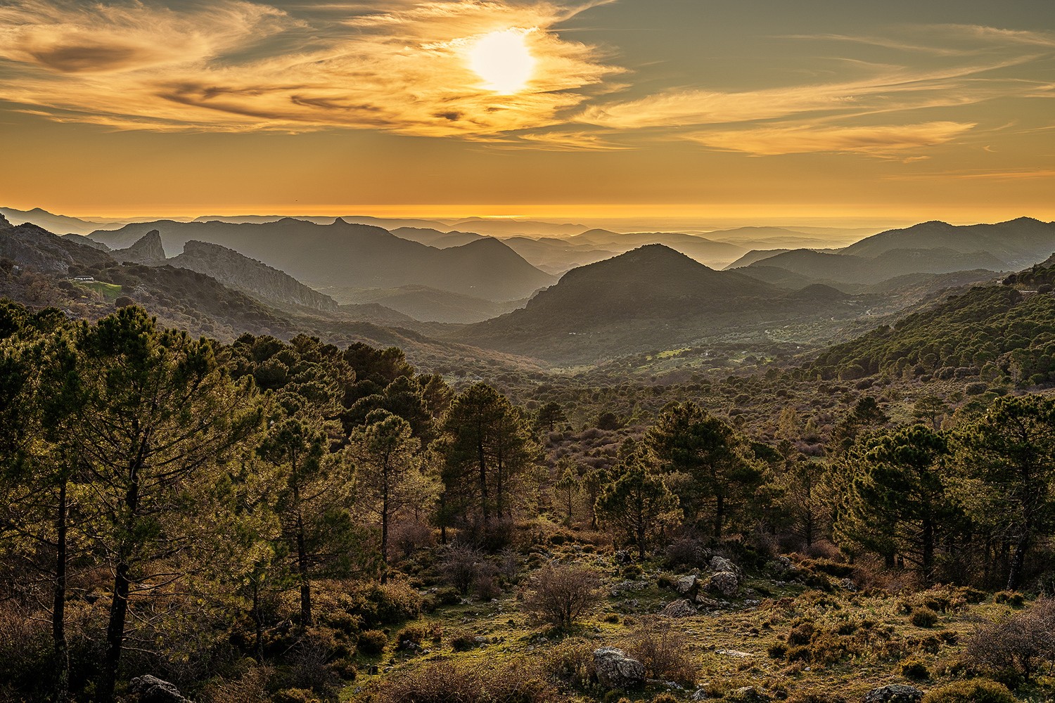 Jesus joaquin Carrera martinez - Jesuscarrera_paisajesdemontaña2