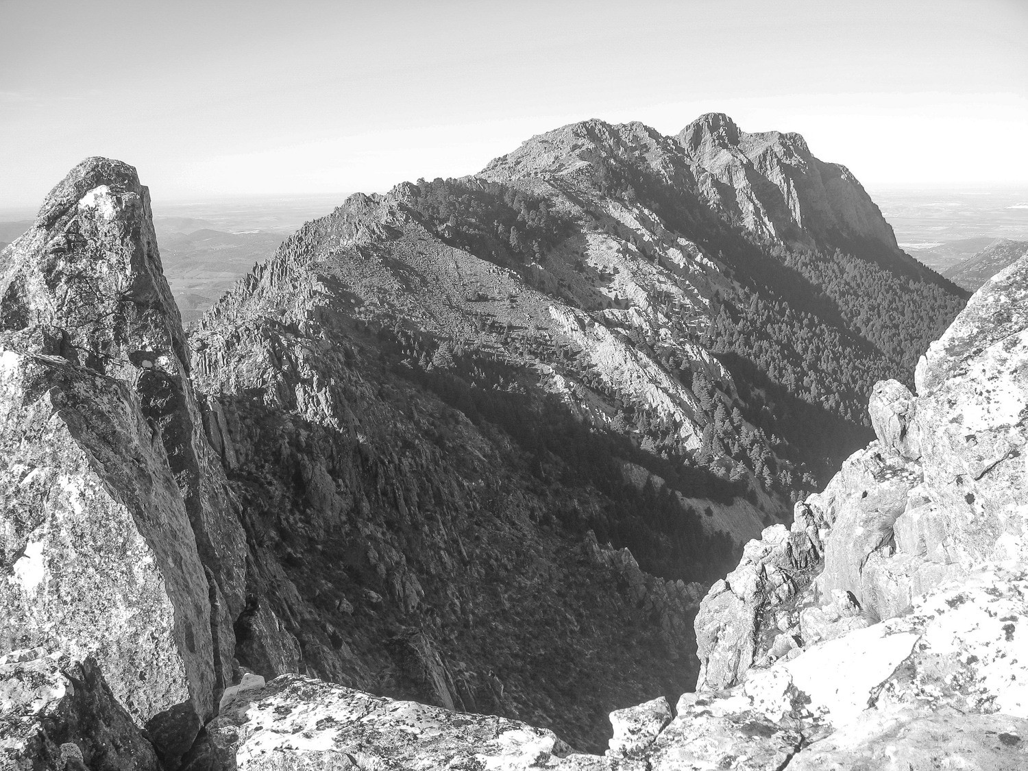 Kiko Moya. Para concurso - IMG_0119