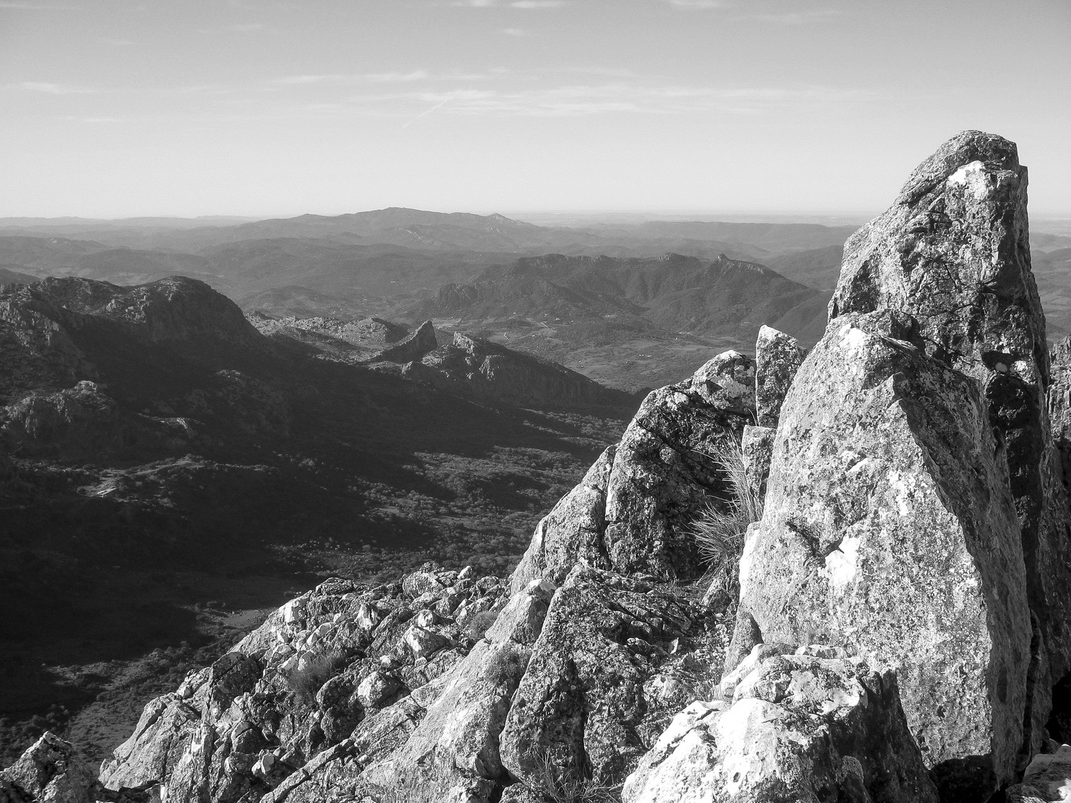 Kiko Moya. Para concurso - IMG_0120