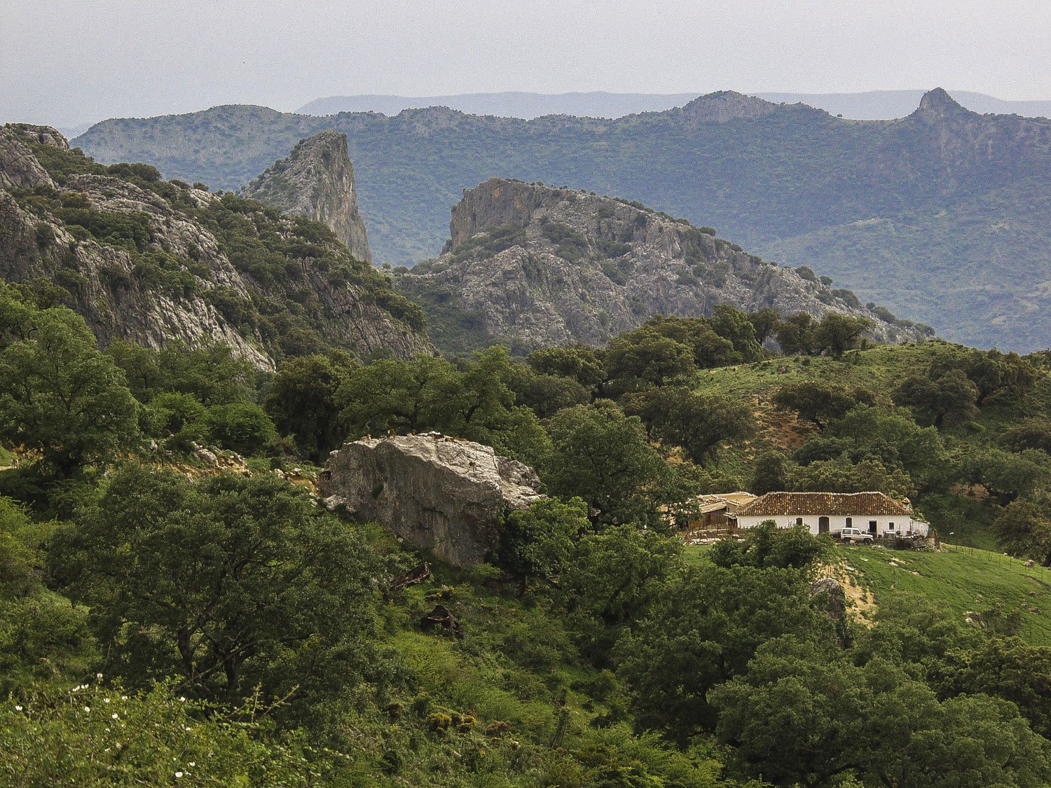 Kiko Moya. Para concurso - P5160005