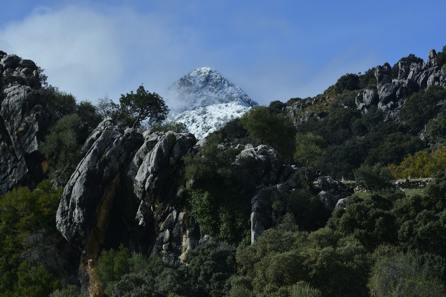 manuel sanchez dorado - Triangulo serrano.