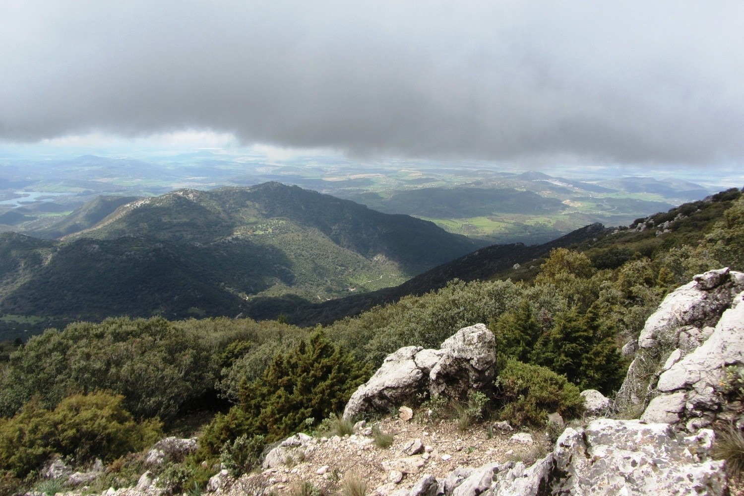 Mariano Maeztu - #Concurso_marzo_PNGrazalema_Mariano_Maeztu_2