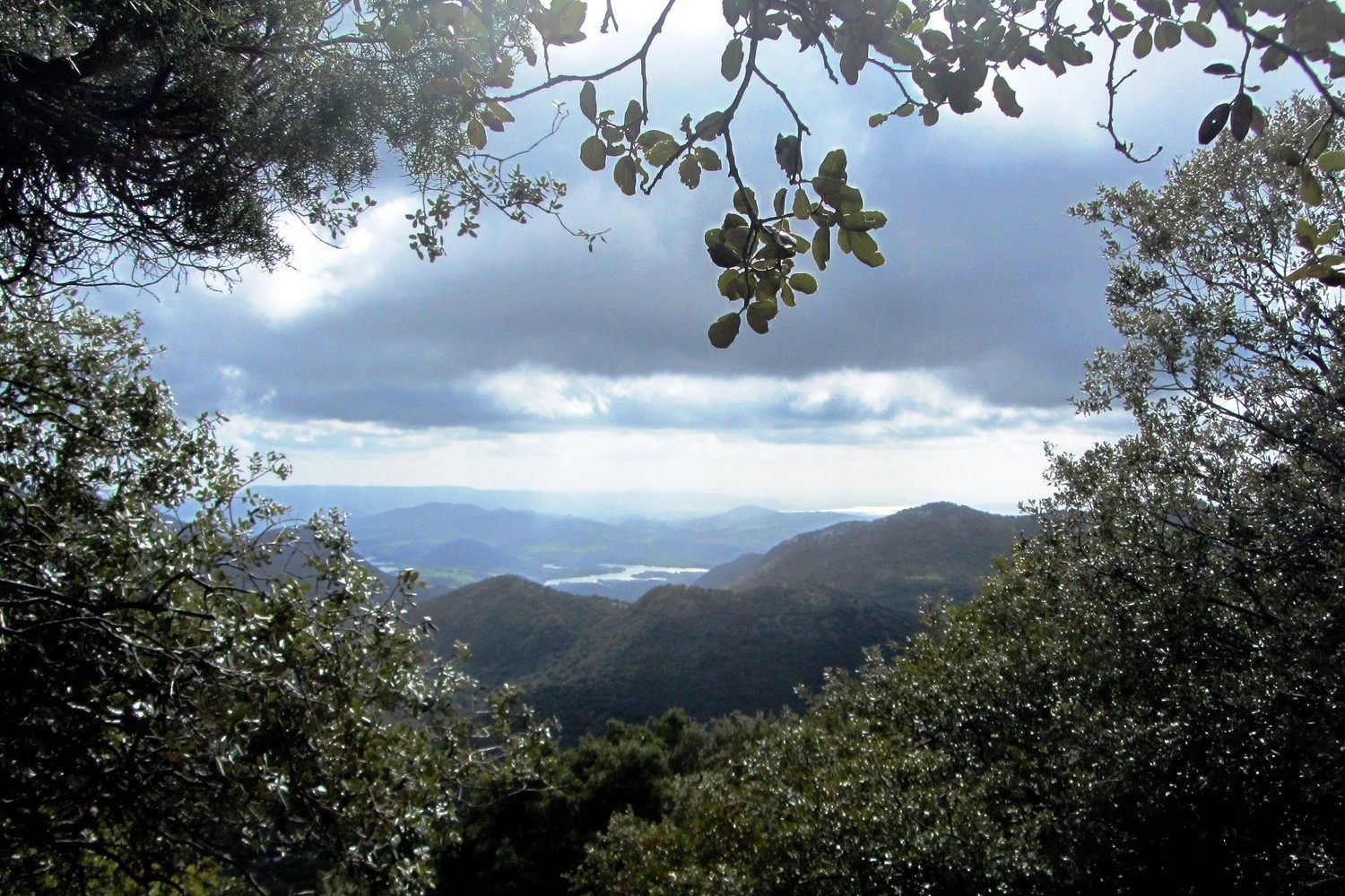 Mariano Maeztu - #Concurso_marzo_PNGrazalema_Mariano_Maeztu_3