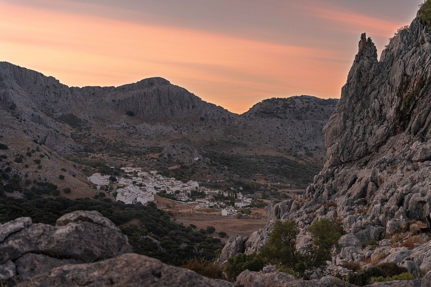 Paloma de Iriarte Tinoco - Palomadeiriarte_paisajesdemonta&ntilde;a